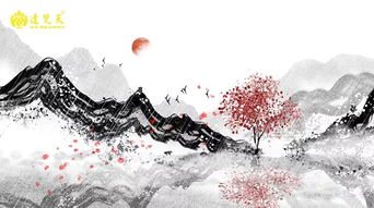 善人多磨難,因果有玄機