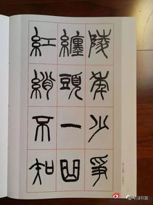 仇高馳篆書 琵琶行 淵雅純正神完氣足