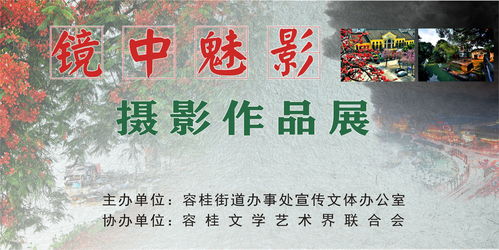 容桂宣傳文體網