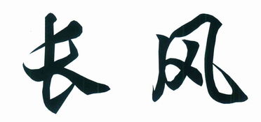 長沙市天心區長鷹美發用品廠