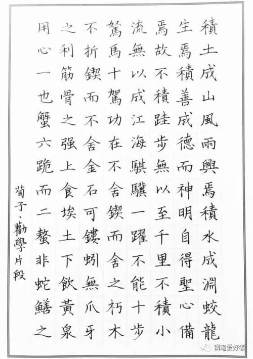 白居易 琵琶行 片段手寫鋼筆字筆友鋼筆書法習作欣賞