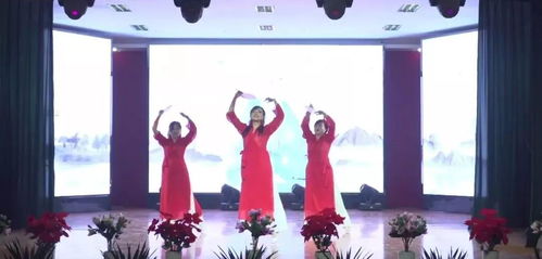 揚(yáng)帆起航新征程 攜手共筑天宇夢(mèng)——天宇集團(tuán)迎新年文藝晚會(huì)集錦《琵琶行》